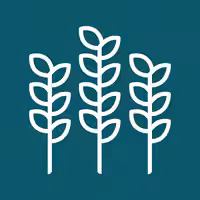 Food and agriculture